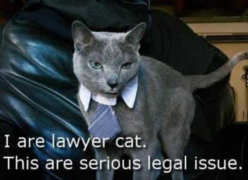 lolcat-i-are-lawyer-cat