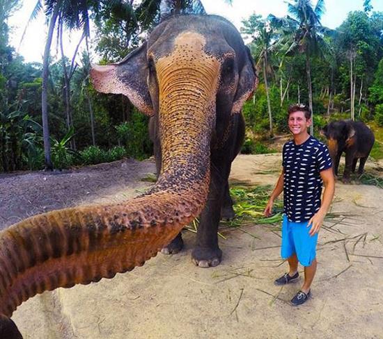 selfie éléphant