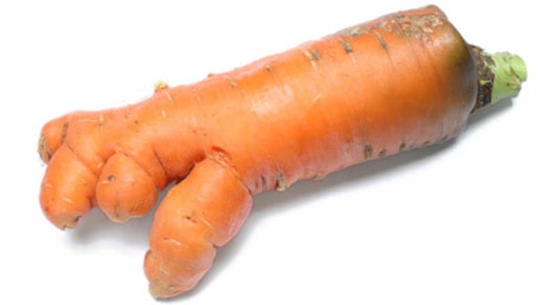 carotte moche