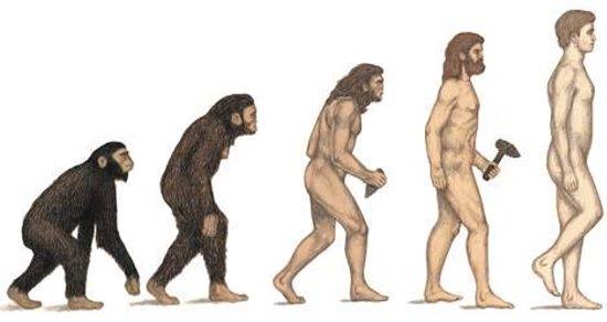 évolution humaine